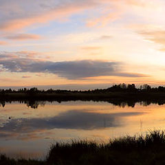 photo "Beauty of silence"