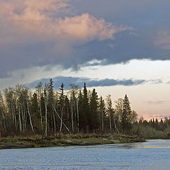 photo "Late autumn"