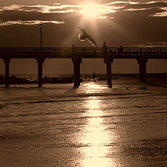 photo "Coney Island"