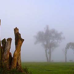 photo "Foggy October morning"