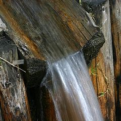 photo "Water in the wood-pipe"