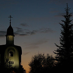 фото "Устремленные в небо"