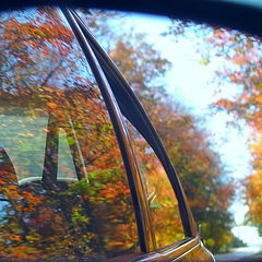 photo "Autumn, eyes of the car"