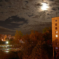 фото "Ночное небо"