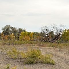 фото "Осень настала."