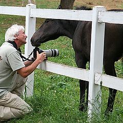 фото "Please Only One Shot !!!"