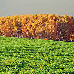 фото "краски осени"