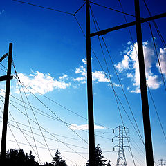 photo "powerlines2"