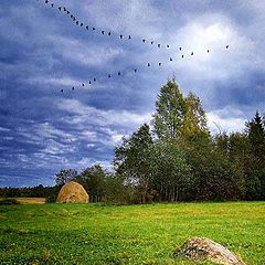 фото "В теплые края"