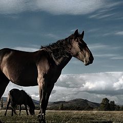 фото "Матрешка"