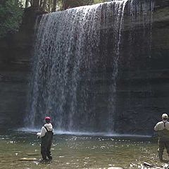 photo "salmon fishing at bridal veil falls"