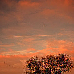 photo "ticket to the moon"