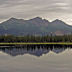 photo "Early one morning"