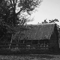 photo "Ancestry plough-land"