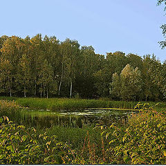 фото "Первые дни осени"