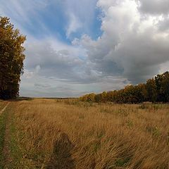 фото "Золотая осень"