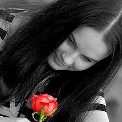 photo "Portrait of the girl with a rose"