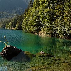 фото "Green lake..."