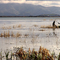 photo "FISHING"