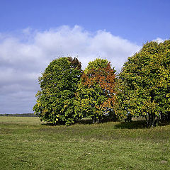 photo "Autumn Trinity"