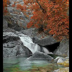 photo "Autumn in the lost River"