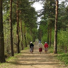 фото "Дневной дозор"