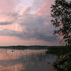 photo "***"