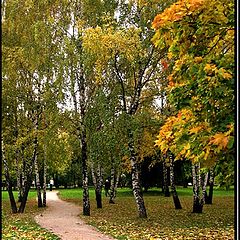 photo "Golden autumn"