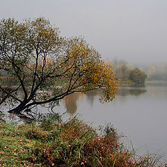 фото "Пасмурно"