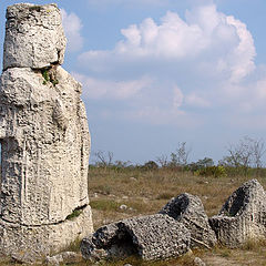 фото "В саду камней"