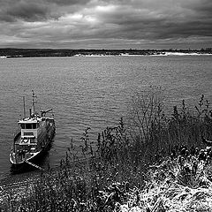 фото "Еще есть время перед сном..."