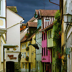 фото "The color street"