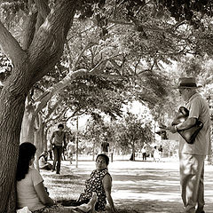 фото "At the Park"