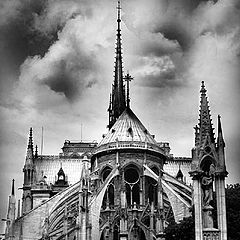 фото "Notre Dame"