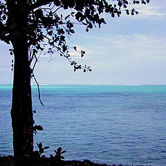 photo "Just dreaming of Tahiti"