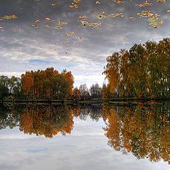 фото "Небо вымокло в пруду"