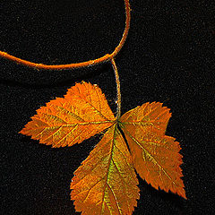 photo "Necklace "Autumn""