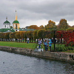 photo "In old park 3"