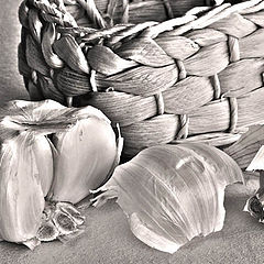 photo "Garlic"