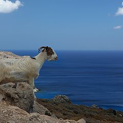 photo "The master of rocks"