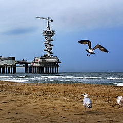 фото "Северное море"