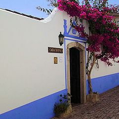 фото "Obidos Village"