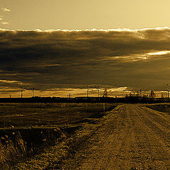 photo "Road landscape"