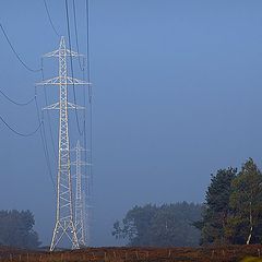 photo "high tension"