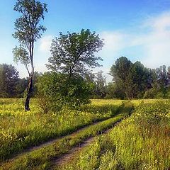 фото "В лес, да по ..."