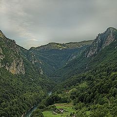 фото "Каньон реки Тара."