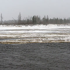 photo "before in winter"