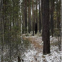 фото "Walk at autumn"