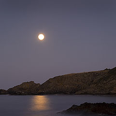 photo "Rising moon"