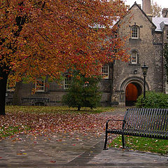 photo "The Park On A Rainy Day"